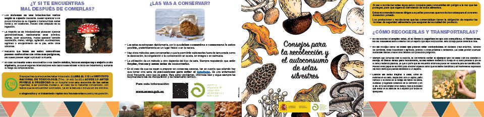 La AESAN publica nuevo material informativo con consejos para la recolección y el autoconsumo de setas silvestres