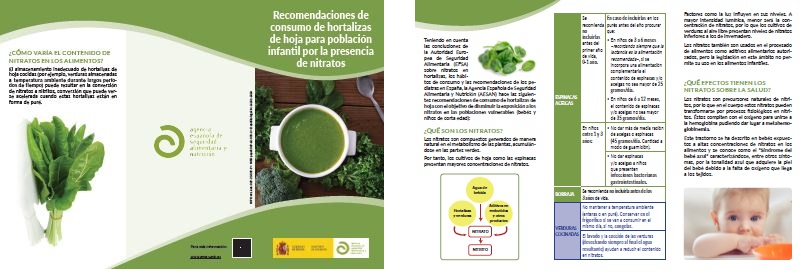 La AESAN actualiza sus recomendaciones para la población infantil sobre el consumo de hortalizas de hoja por la presencia de nitratos.