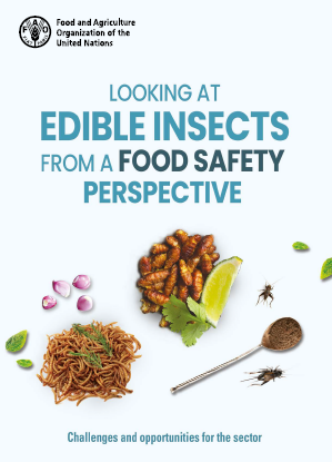 Looking at edible insects from a food safety perspective
