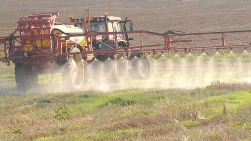 Glifosato: La EFSA establece que no hay áreas de preocupación críticas aunque identifica algunas lagunas en los datos presentados