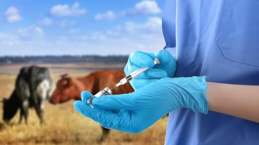 La EFSA publica su informe anual sobre los residuos de medicamentos veterinarios y otras sustancias en animales y alimentos de origen animal del año 2022