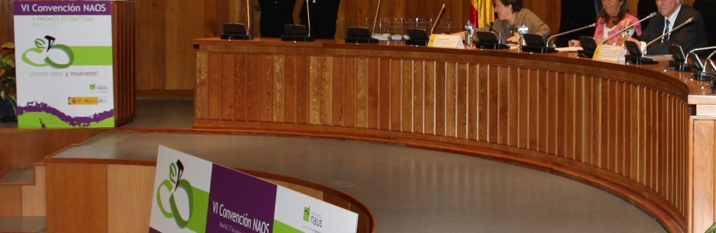 VI_convencion_portada
