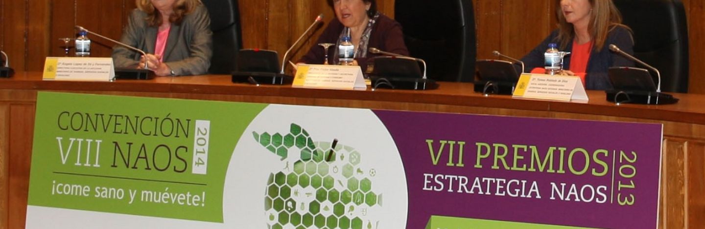 VIII_convencion_principal