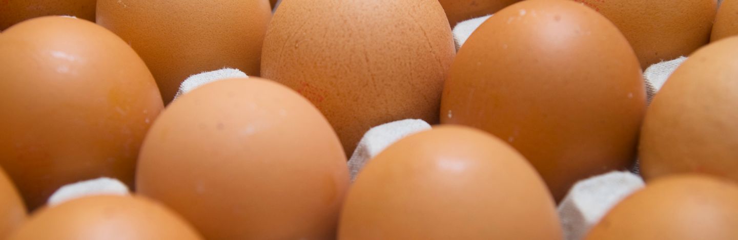 iStock-172960784