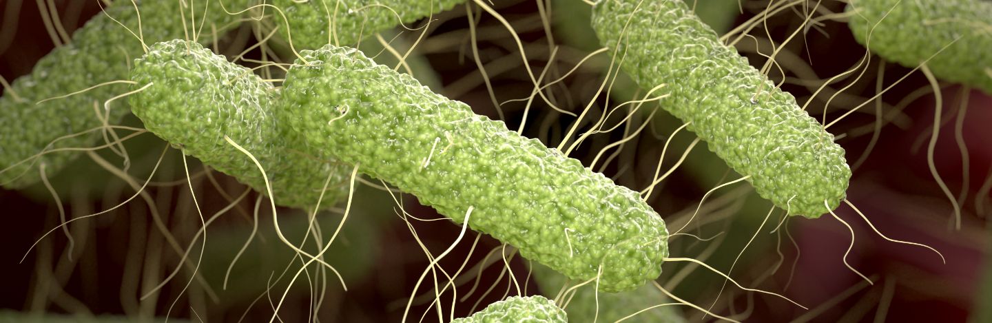 iStock-1496920544