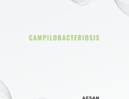 250917_Campilobacteriosis