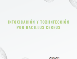 Intoxicación y toxiinfección por Bacillus cereus