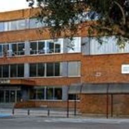 actividades_comite_10