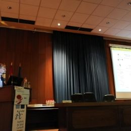 actividades_comite_2