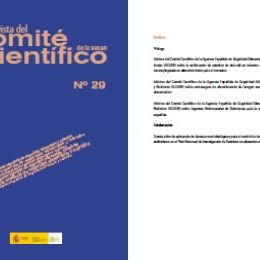 portada_revista_29
