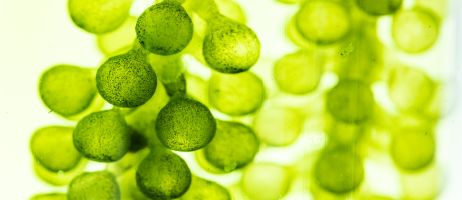 iStock-1483933446