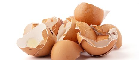 iStock-1387786308