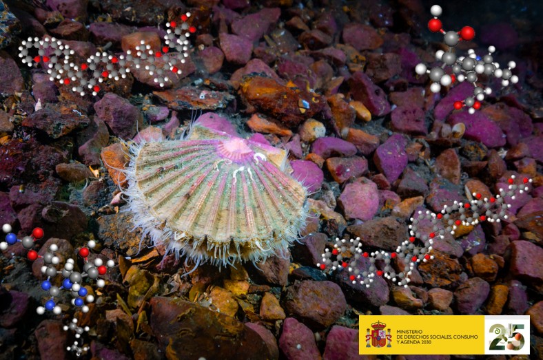 El Laboratorio de Biotoxinas Marinas en la Semana de la Ciencia de Madrid 2026