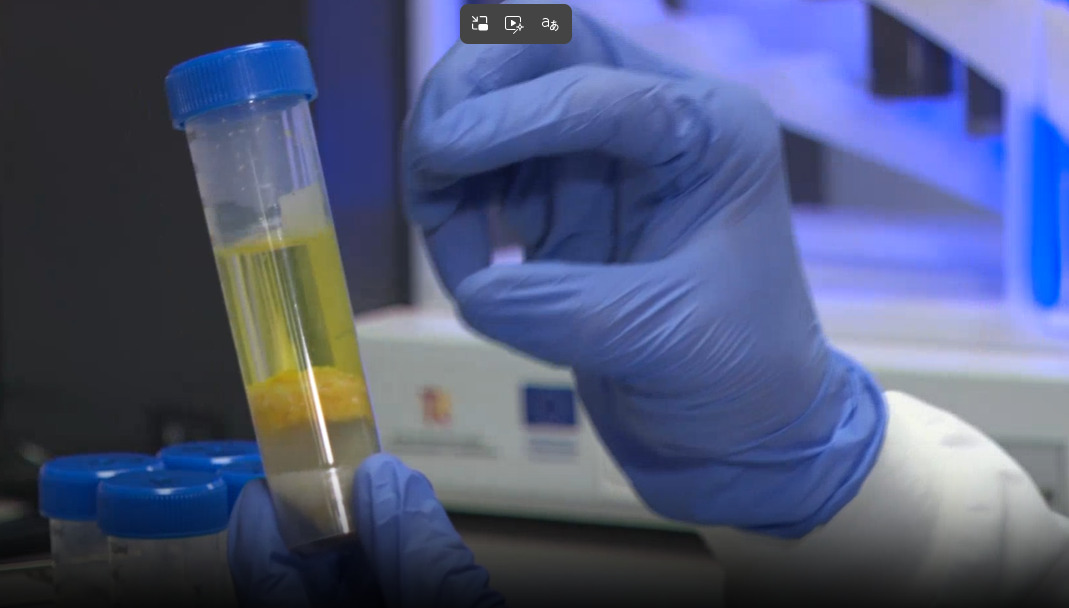 Qu&eacute; es la plaguicida y por qu&eacute; es tan importante lavar las frutas y verduras: "Puede producir toxicidad cr&oacute;nica"   29-06-2026