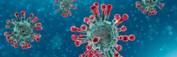 Coronavirus: La EFSA dice que no hay pruebas de que los alimentos sean una fuente o una vía de transmisión del virus.