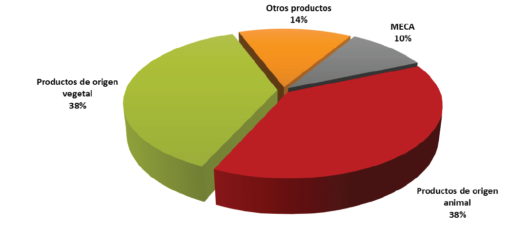  Grafico