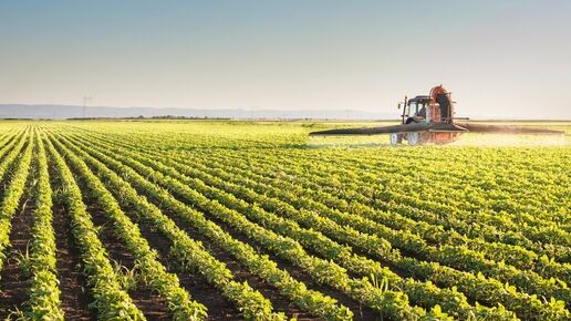 Los plaguicidas en los alimentos: últimos datos publicados