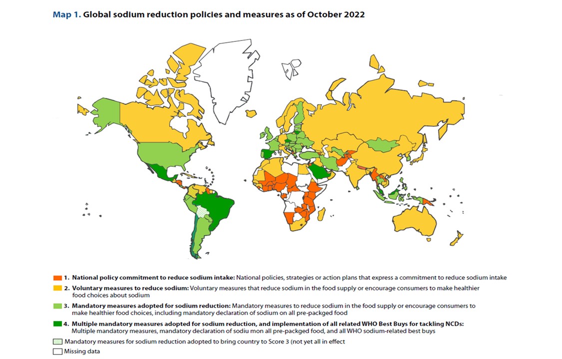 Informe de la OMS sobre los progresos en la implementación de políticas de reducción de ingesta de sodio en los Estados Miembros.