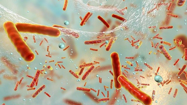 Publicación del informe europeo sobre la resistencia a los antimicrobianos en bacterias zoonóticas e indicadoras de humanos, animales y alimentos en 2020-2021