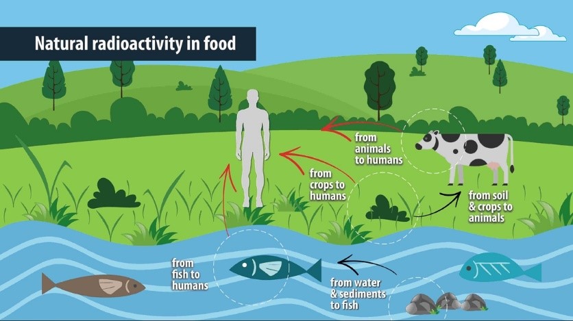 Contaminación radioactiva