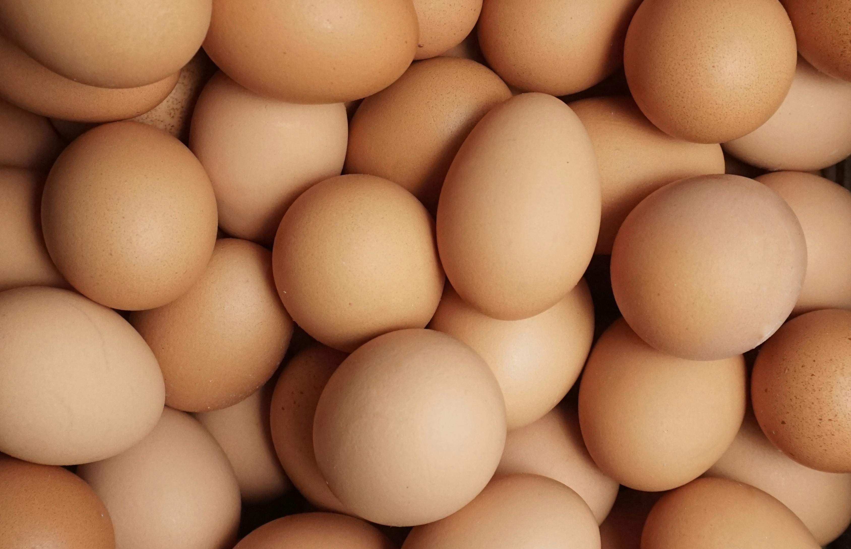 Huevos 2