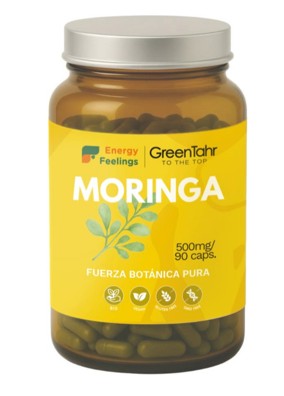 Imagen del producto Moringa eco polvo XXL Pack de la marca Energy Feelings