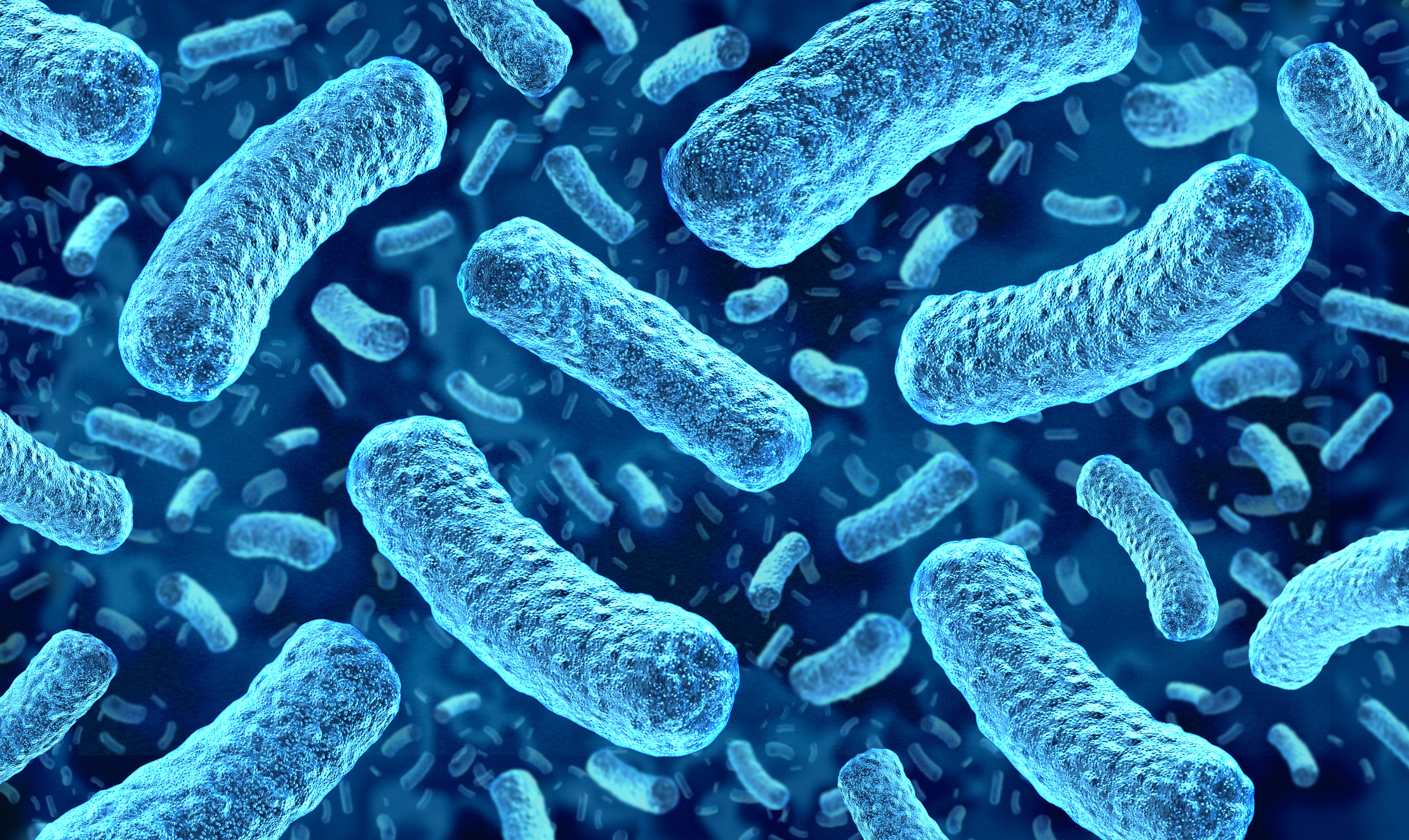 Listeria