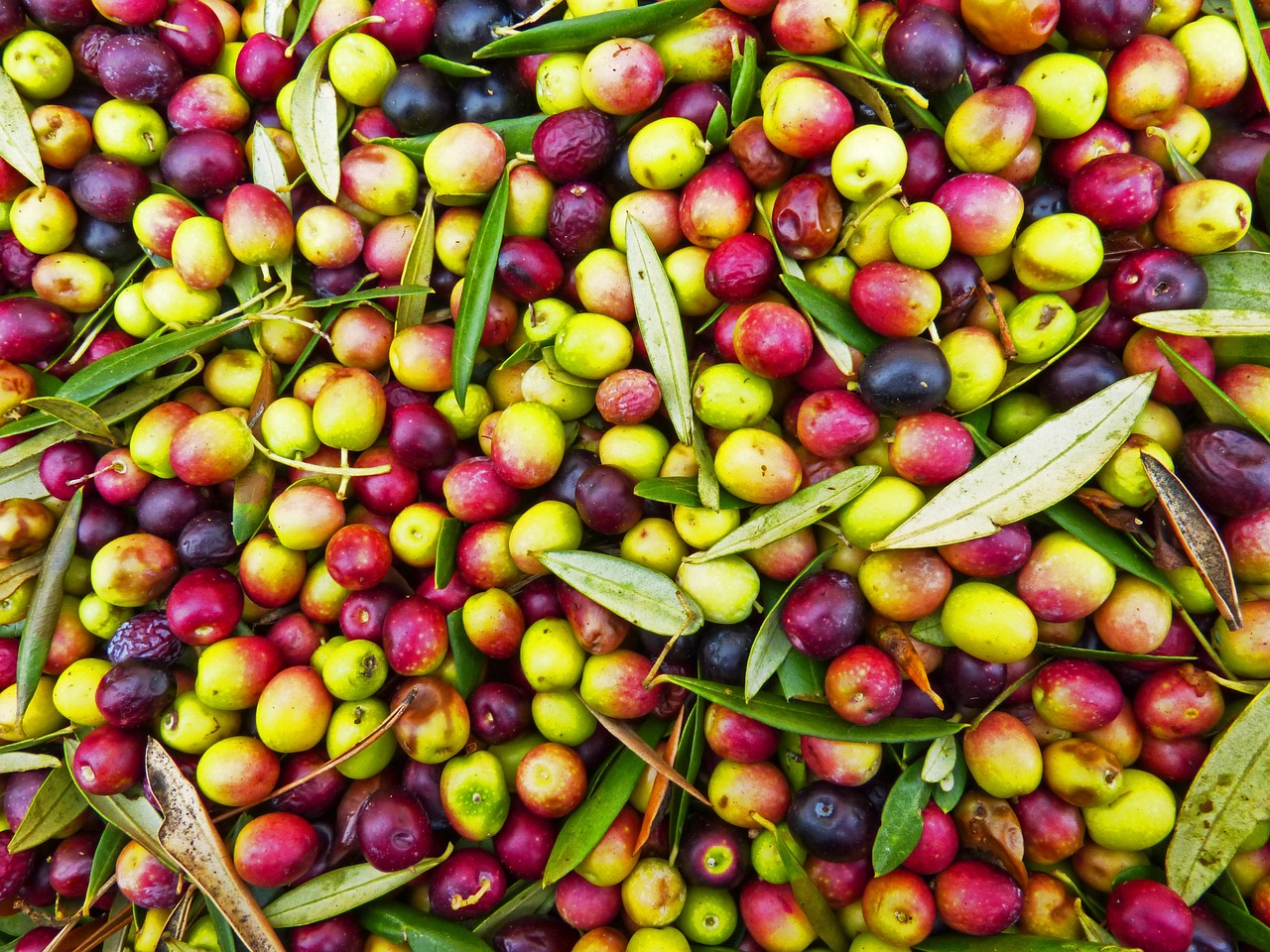 olives-1119500_1280