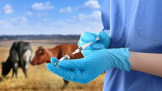 veterinario_efsa