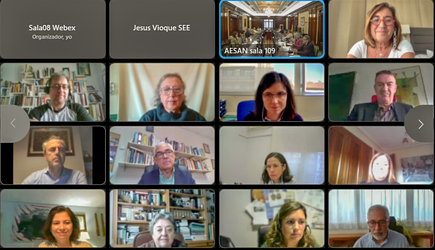 pleno_observatorio3
