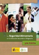 seguridad_edu_secundaria