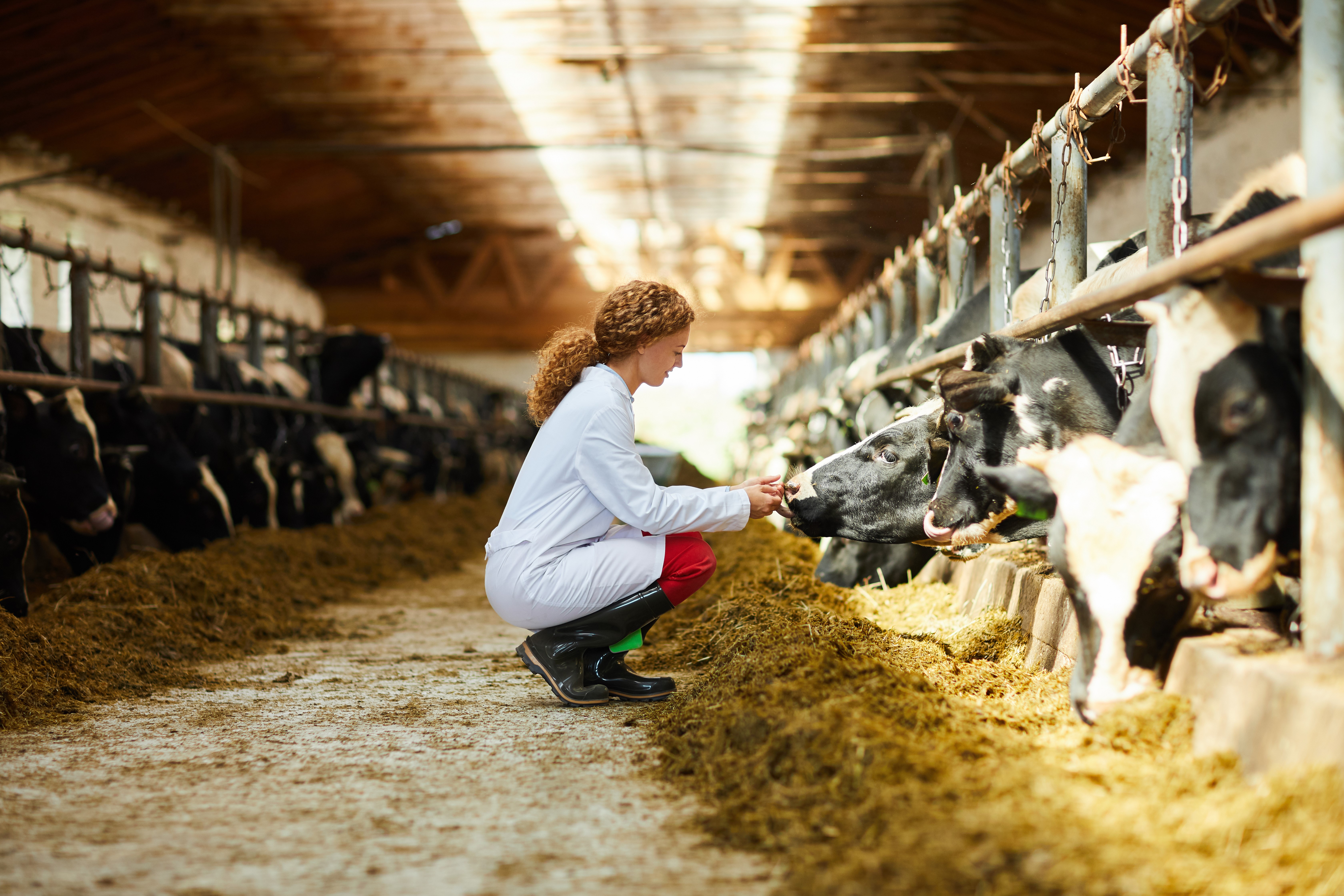 Informe_2019_efsa