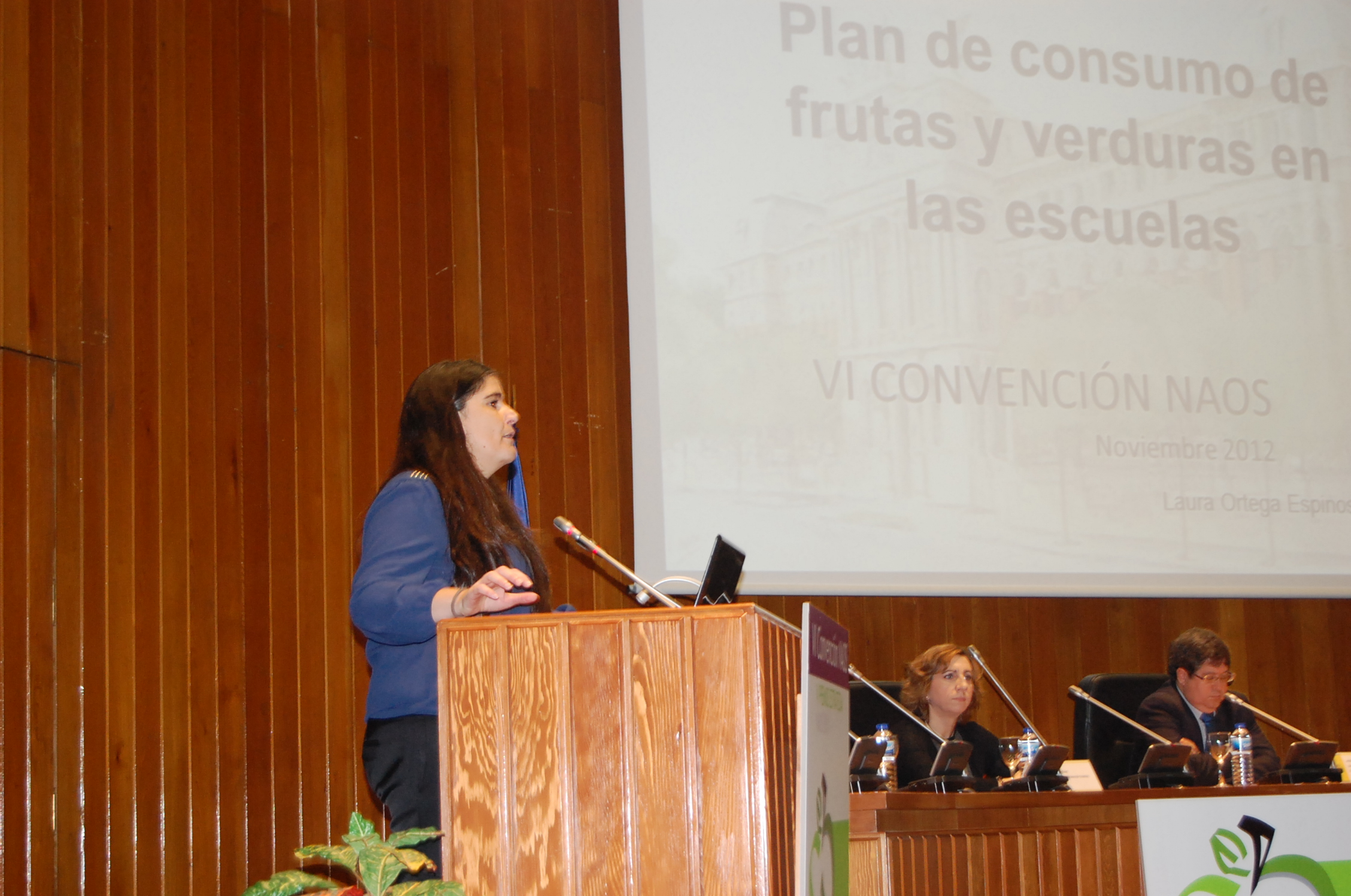 VI_convencion_5