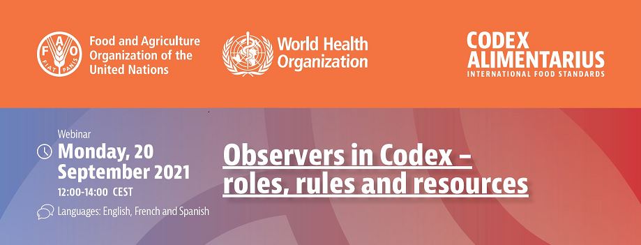 observadores_codex