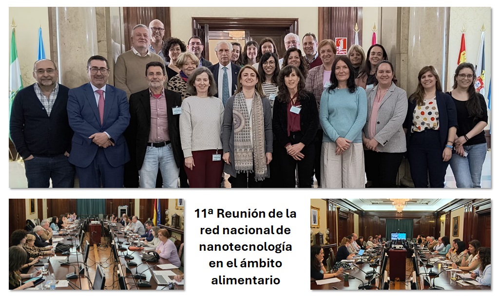 11a_Reunion_red_nanotecnologia