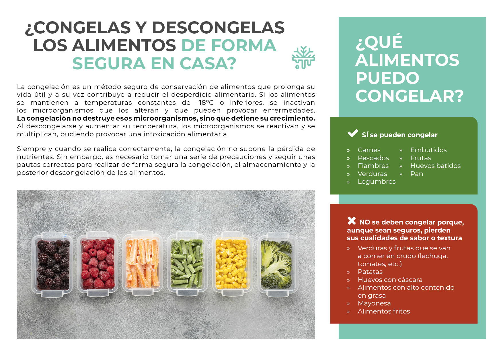 congelas_descongelas2