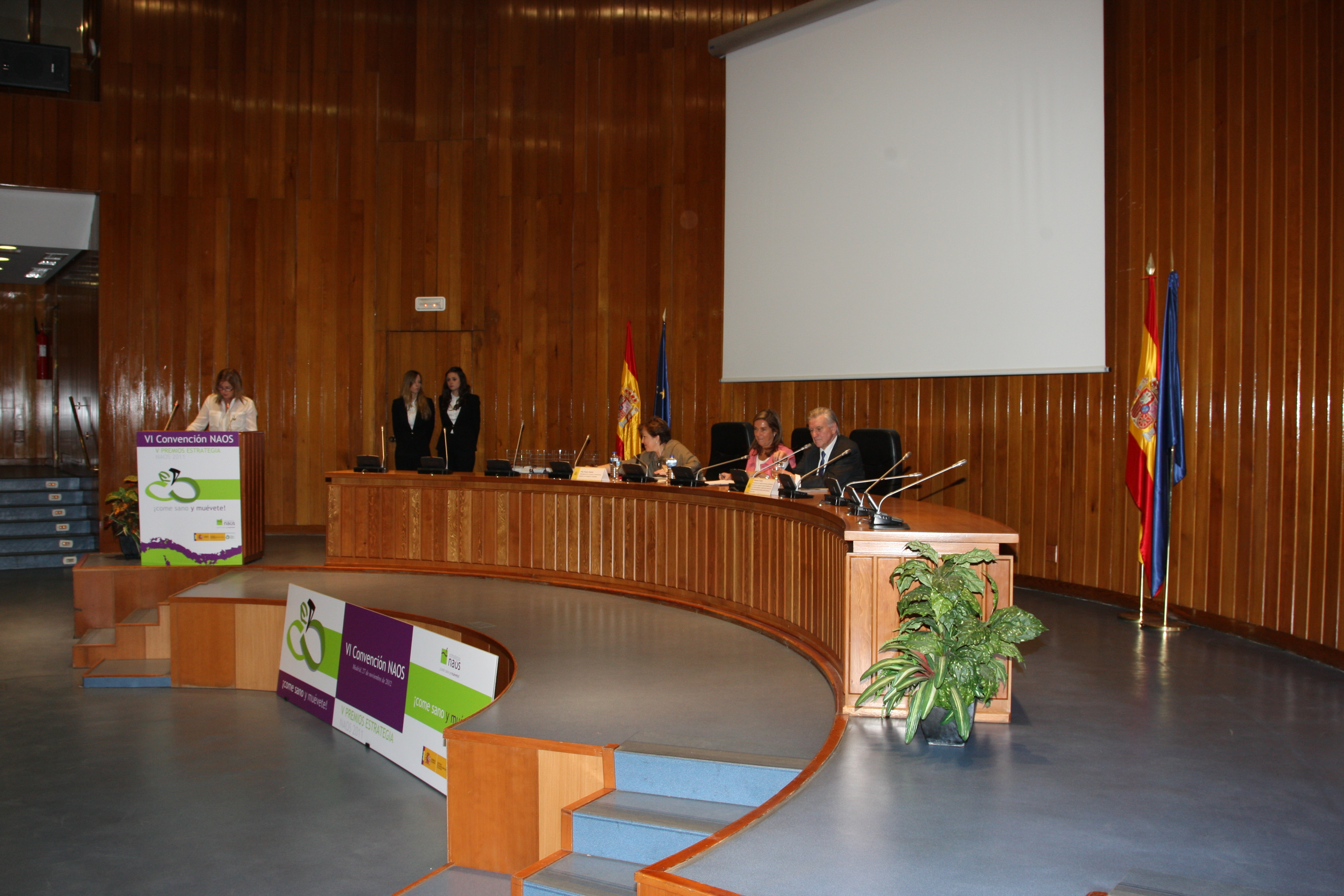 VI_convencion_1
