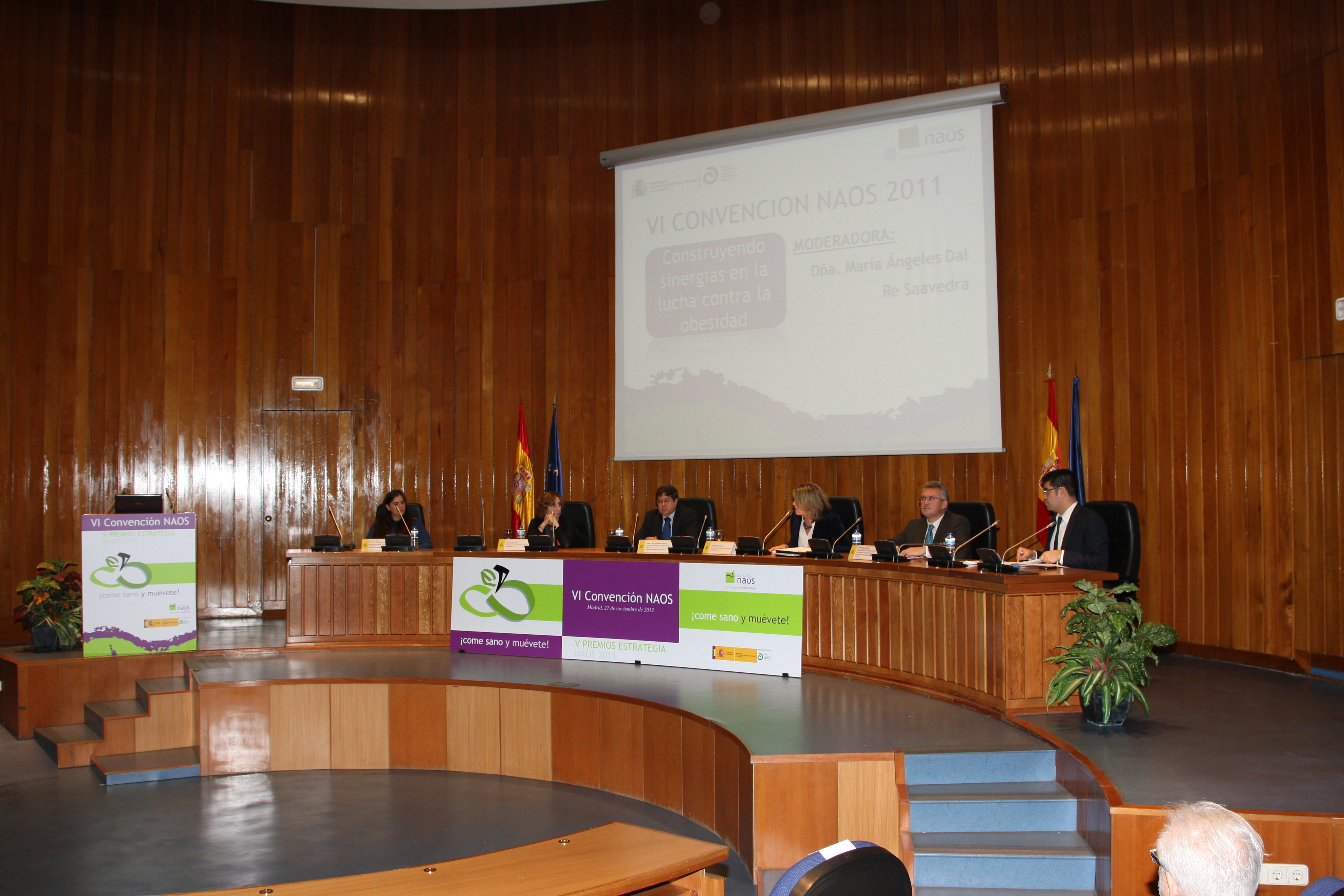VI_convencion_4