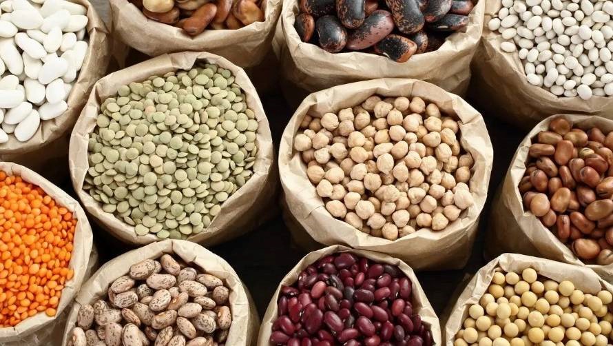 leticinas_alimentos